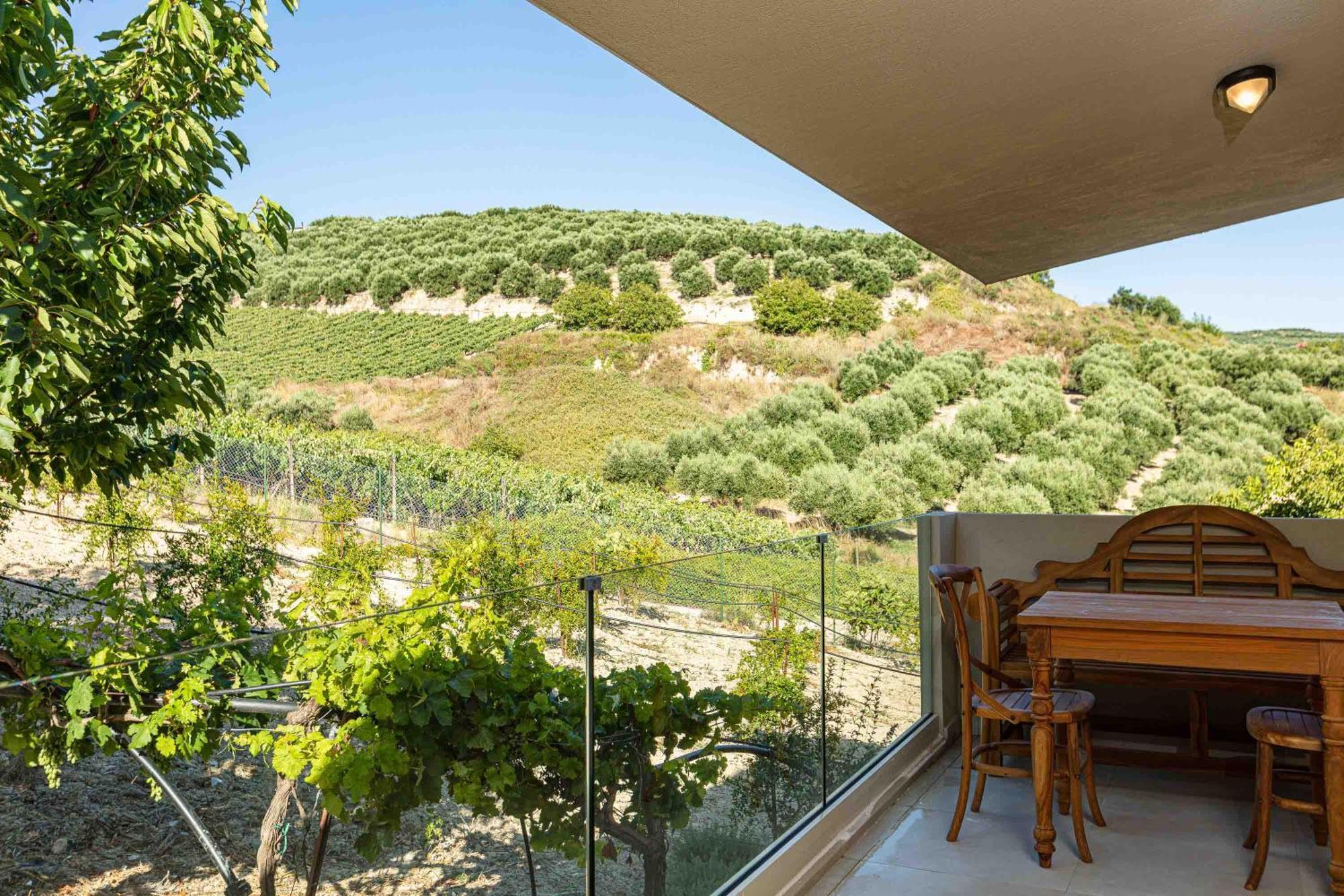 Villa Mantilari Wine Estate 7 Apartments 2 Private Pools 1 Heated Tennis Court Fitness Center Archanes Rum bild